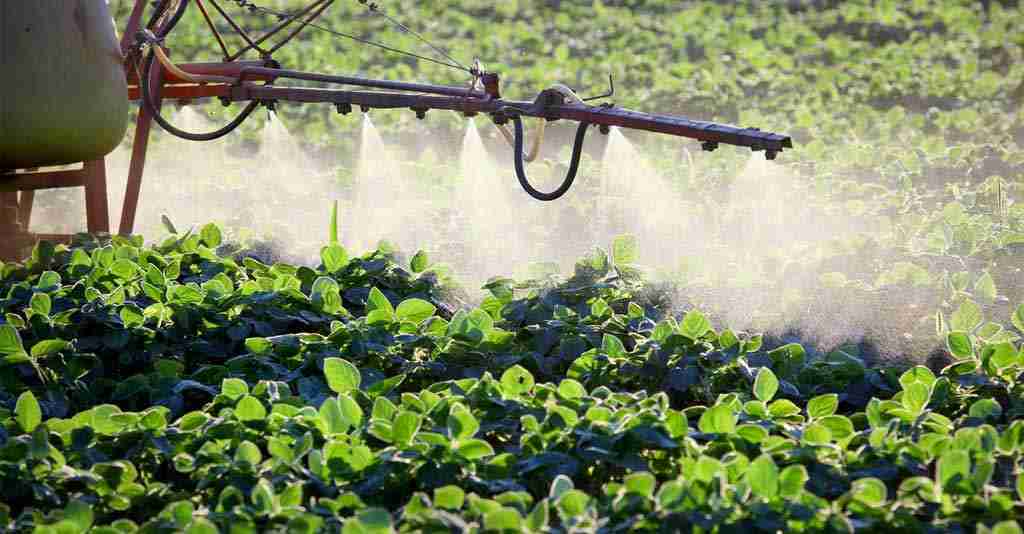 Como os Herbicidas Matam as Plantas