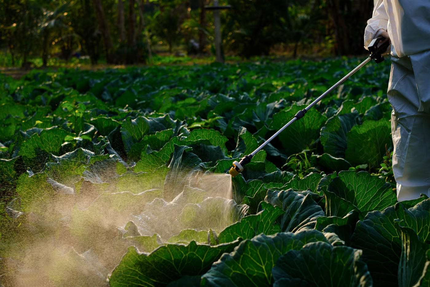 Aumentar dose de defensivo dribla a resistência?