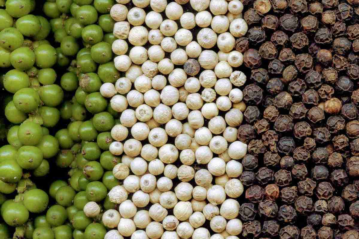 Pós-colheita e Armazenamento da Pimenta-do-reino