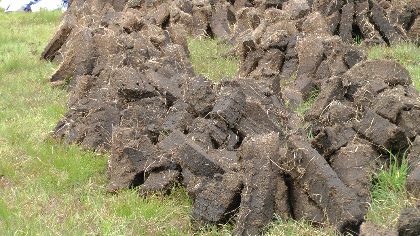 Turfa: adubo orgânico