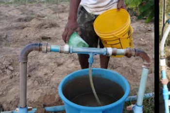 Uso de leonardita para melhorar a matéria orgânica do solo