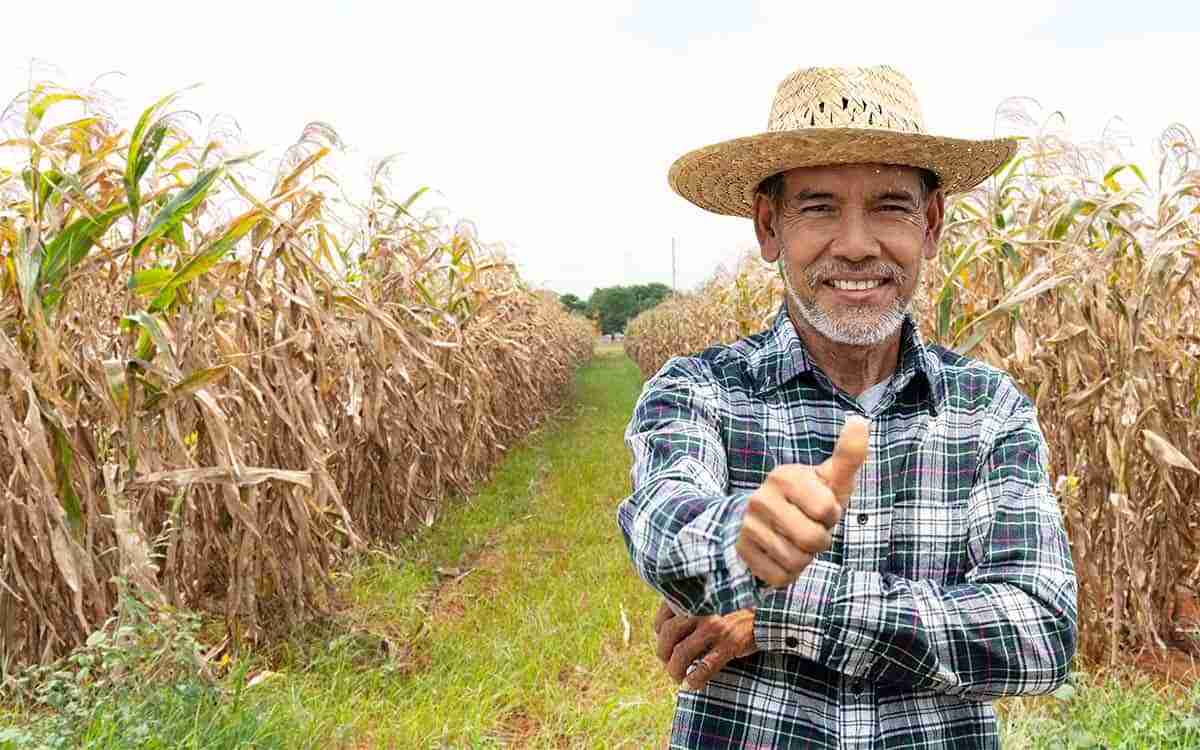 Trabalho na agricultura