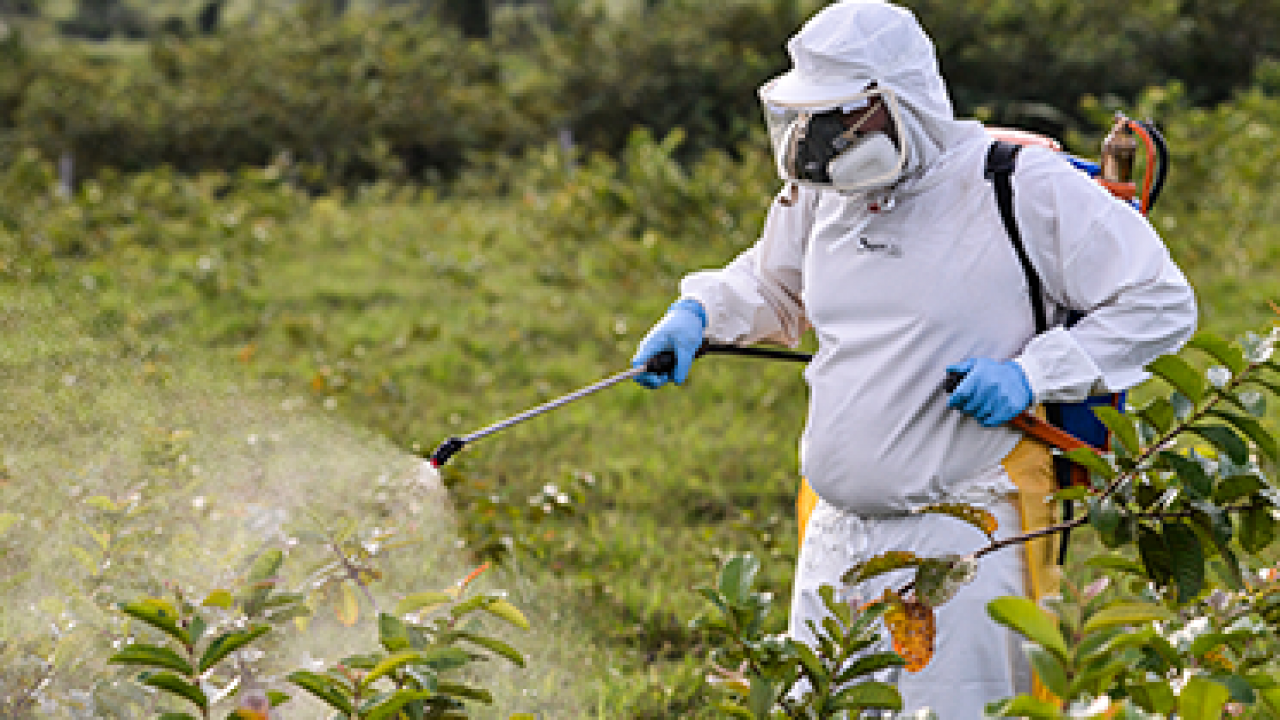 Qual a Sequência de Vestir e Retirar os EPI's?