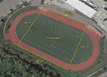 Por que o hectare é uma unidade de medida tão importante na agricultura?