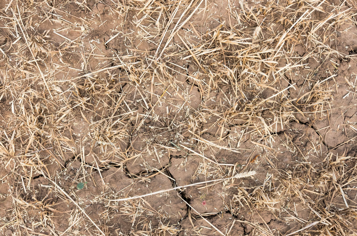 Análise de Textura do Solo