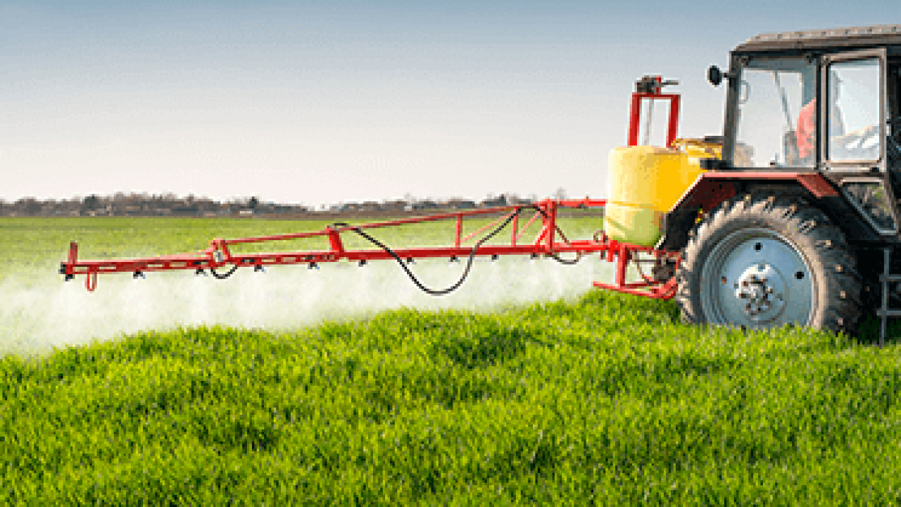 Desafios no Manejo Sustentável de Plantas Daninhas em Pastagens