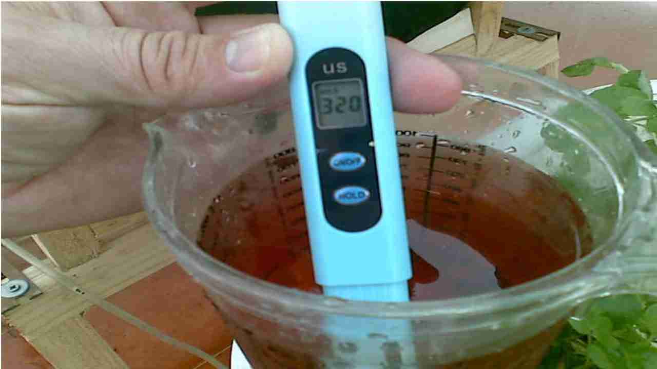 Definição, Composição e Formulação de Soluções Nutritivas em Hidroponia