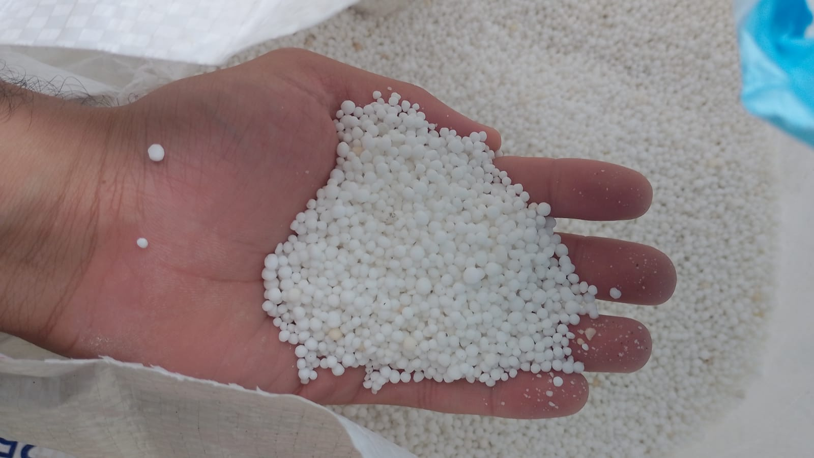 Nitrogênio: Como Usar na Lavoura?