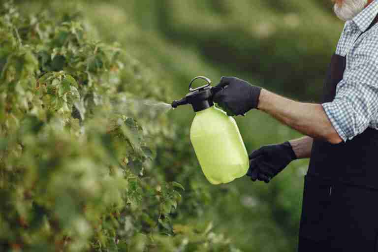 Adubação Foliar: Solubilidade, Absorção e Eficiência